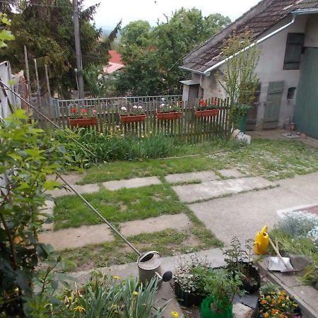 U babičky a jeji psí smečky Casa de hóspedes Veselicko Exterior foto