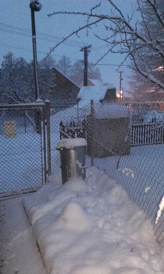 U babičky a jeji psí smečky Casa de hóspedes Veselicko Exterior foto