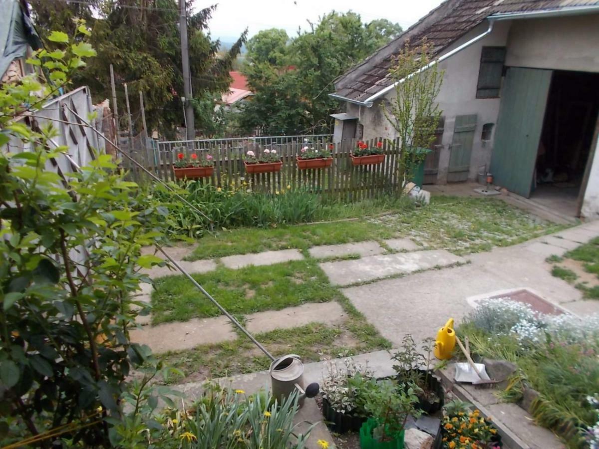 U babičky a jeji psí smečky Casa de hóspedes Veselicko Exterior foto