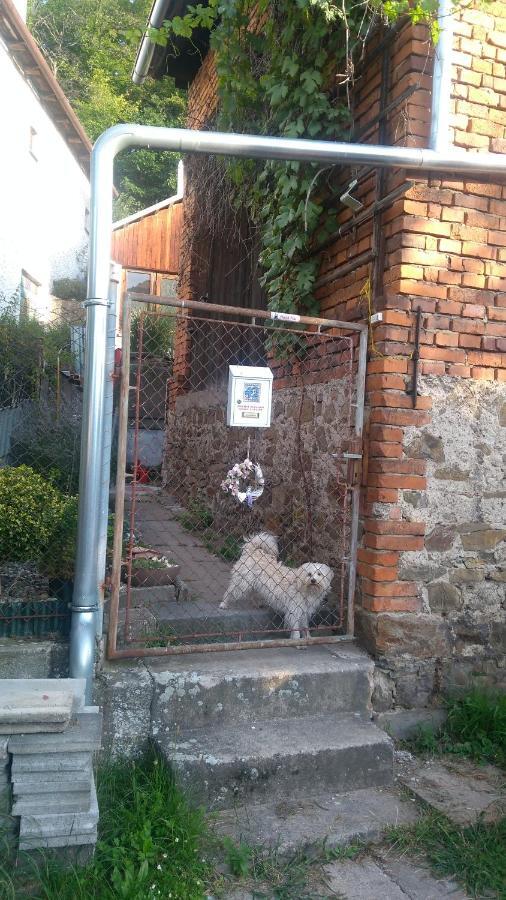 U babičky a jeji psí smečky Casa de hóspedes Veselicko Exterior foto